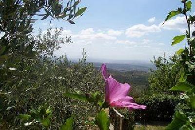 фото отеля La Casa di Zefiro Bed & Breakfast Capraia e Limite