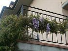 фото отеля La Casa di Zefiro Bed & Breakfast Capraia e Limite