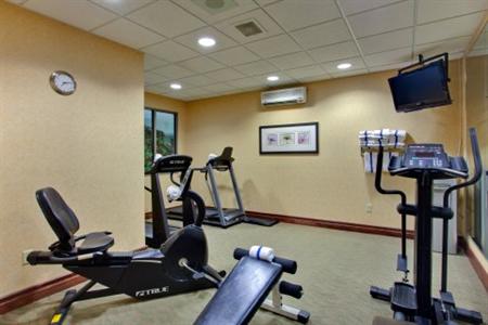 фото отеля Holiday Inn Hotel & Suites London