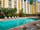 фото отеля SpringHill Suites Tampa Westshore Airport