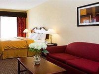 Comfort Suites Raleigh Durham Airport/RTP
