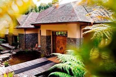 фото отеля Treetops Lodge