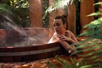 фото отеля Treetops Lodge