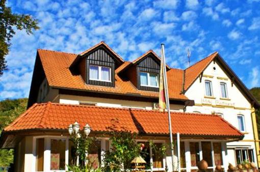 фото отеля Waldhotel Elfenberg