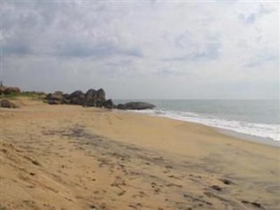 фото отеля Arugam Bay Surfing Resort
