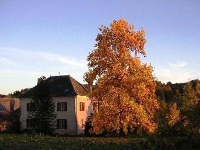 фото отеля Chambres d'Hôtes - La Lupronne