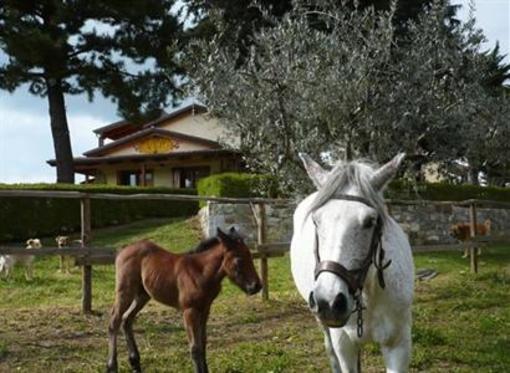 фото отеля Agriturismo Villa Vea Bellosguardo