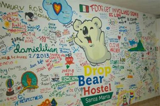 фото отеля Drop Bear Hostel