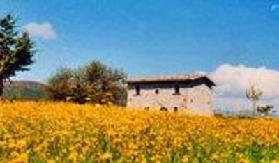 фото отеля Casa Vacanze Casino Tonti Larussi Forli del Sannio