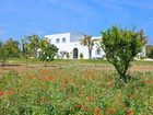 фото отеля Masseria Montelauro