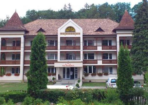 фото отеля Vila Muresul