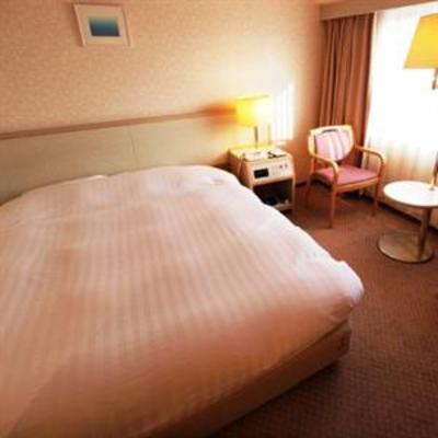 фото отеля Toyama Chitetsu Hotel