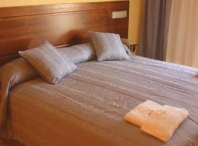 фото отеля Hotel Niventus