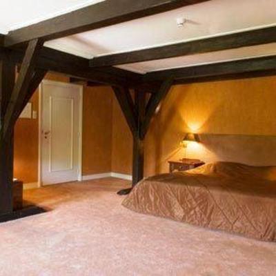 фото отеля Chateauhotel En Restaurant De Havixhorst De Schiphorst
