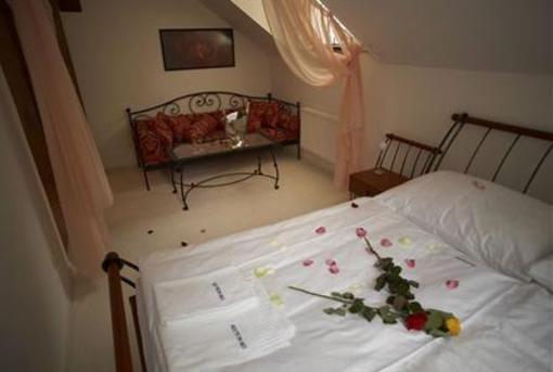 фото отеля Pension Konopiste