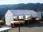 фото отеля Gruner Baum