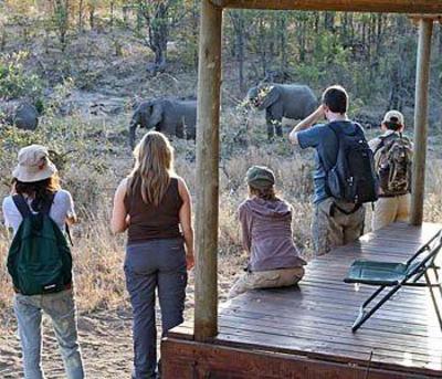 фото отеля Shindzela Tented Safari Camp