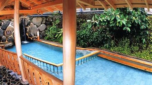 фото отеля Yoshiike Ryokan