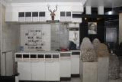 фото отеля Hotel Sahara Pune