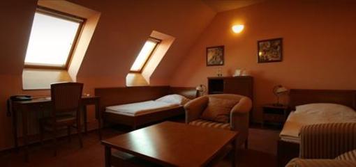 фото отеля Hotel Octarna