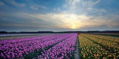 фото отеля Fletcher Badhotel Egmond aan Zee
