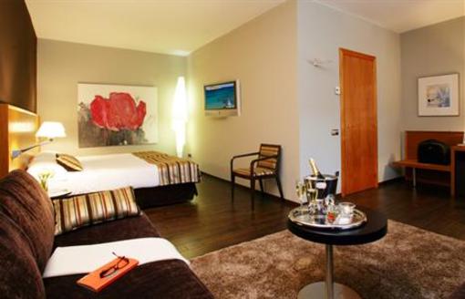фото отеля Hotel Carlemany