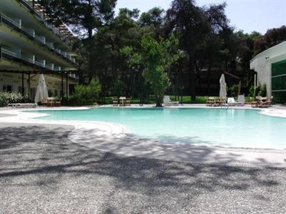 фото отеля Nicotel Pineto