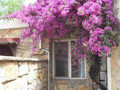 фото отеля La Rosa Bodrum