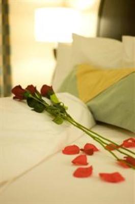 фото отеля Hilton Garden Inn Omaha East/Council Bluffs