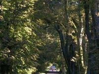 Hotel Lauterbach am See Putbus