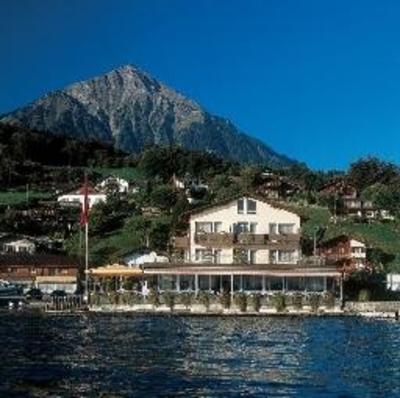 фото отеля Hotel & Restaurant Seerose