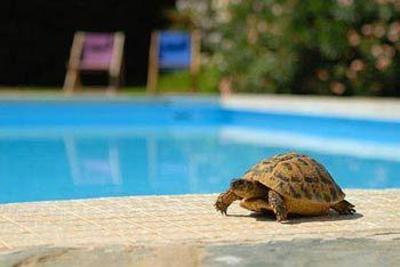 фото отеля Hotel Sun Beach Ajaccio
