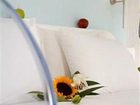 фото отеля Anemoessa Boutique Hotel