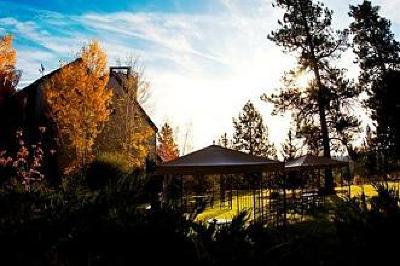 фото отеля Pine Ridge Inn