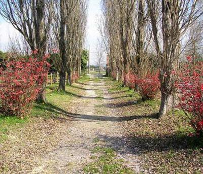 фото отеля Agriturismo Green Farm