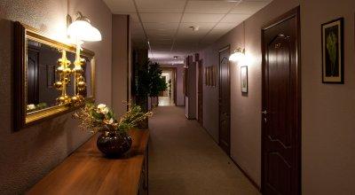 фото отеля Vernisage Hotel Vsevolozhsk