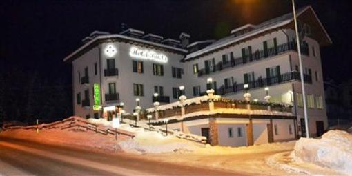 фото отеля Hotel Pineta Falcade