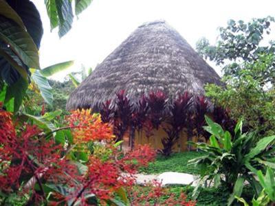 фото отеля Huasquila Amazon Lodge