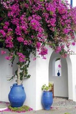 фото отеля Mediterranean Beach Palace