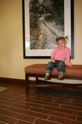 фото отеля Hampton Inn Elkins