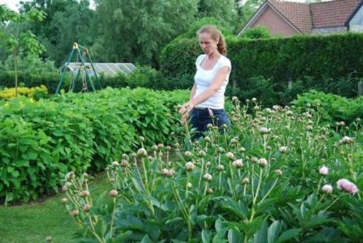 фото отеля T Groene Genoegen Bed and Breakfast Laarne