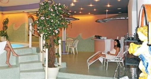 фото отеля Alpili Landhotel