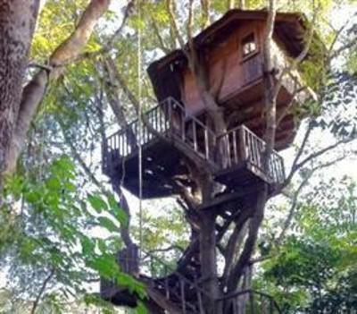 фото отеля Rabeang Pasak Tree House Resort