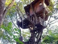 Rabeang Pasak Tree House Resort