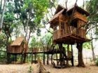 фото отеля Rabeang Pasak Tree House Resort