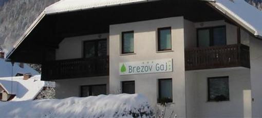 фото отеля Brezov Gaj B&B Kranjska Gora