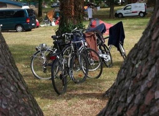 фото отеля Flower Camping Le Conleau