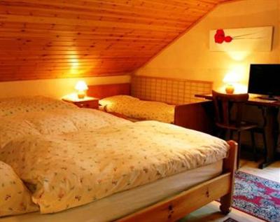 фото отеля Pension D'Evolene