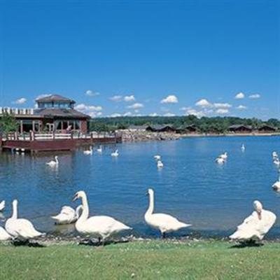 фото отеля Pine Lake Resort