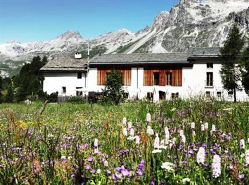фото отеля Pensiun Chesa Pool Hotel Sils-Maria